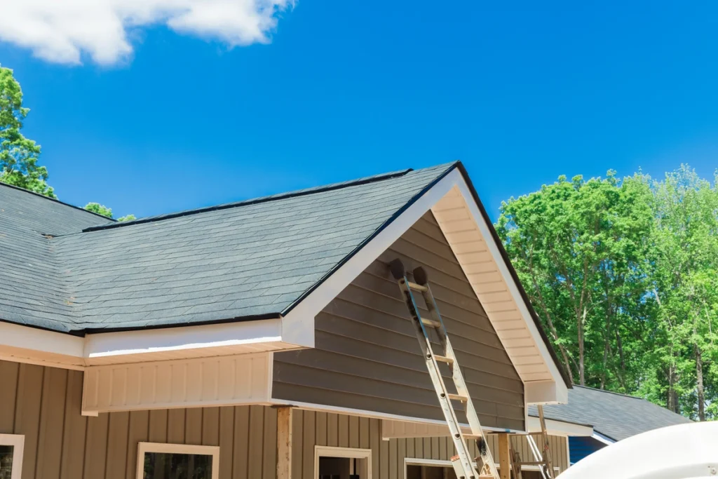 asphalt shingle roof with a ladder